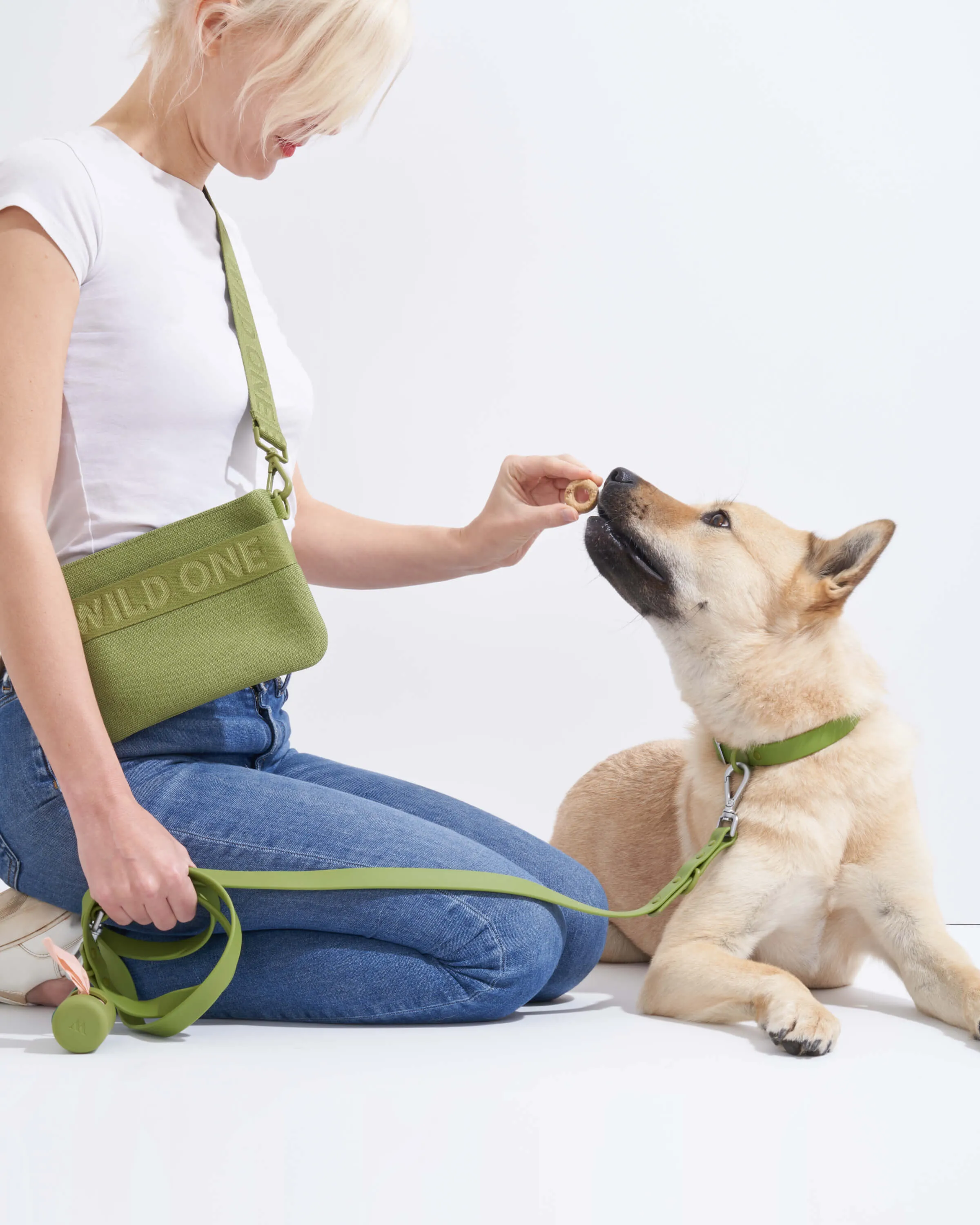 Poop Bag Carrier